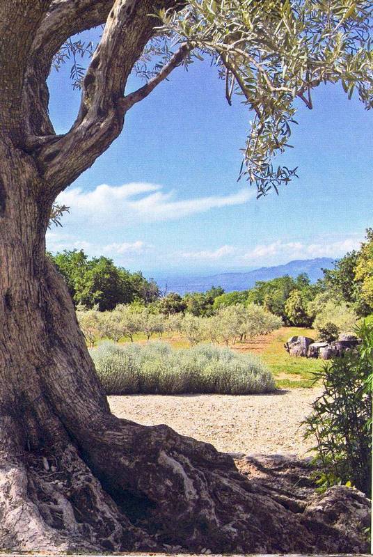Un paradis en Provence à proximité de Gordes