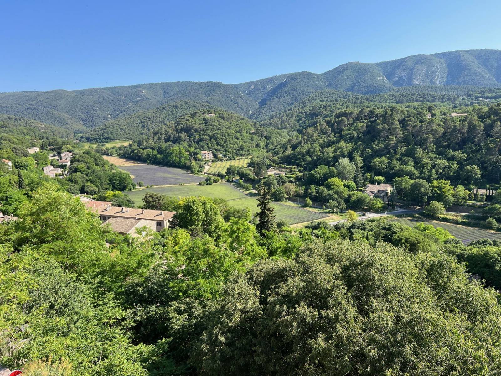 Ménerbes village house with panoramic view