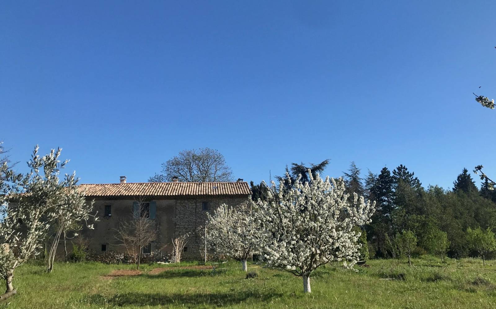 luberon properties