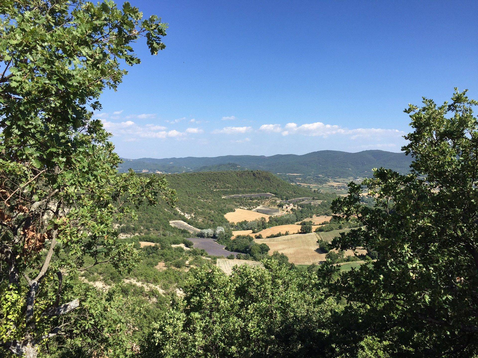 Environnement d'exception pour cette maison de hameau à la vente dans le Luberon