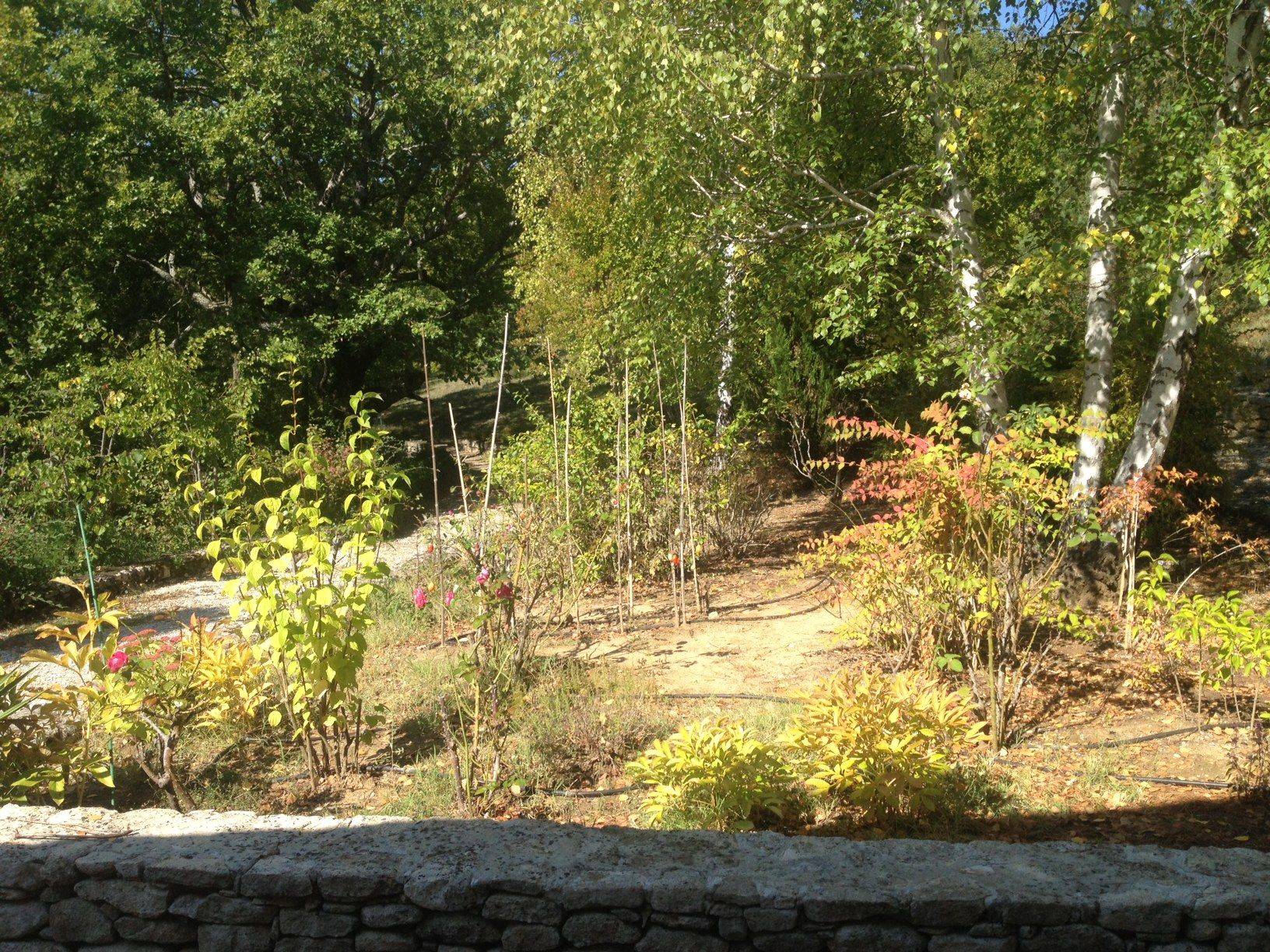 provence real estate