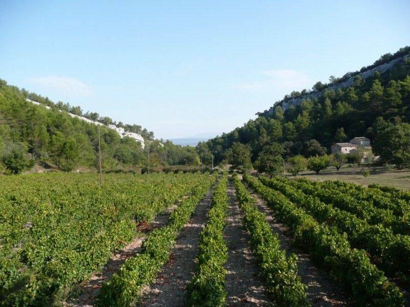 luberon property
