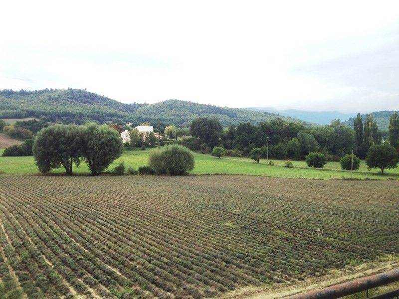 Stone House for sale in Cereste in the natural regional Luberon park 