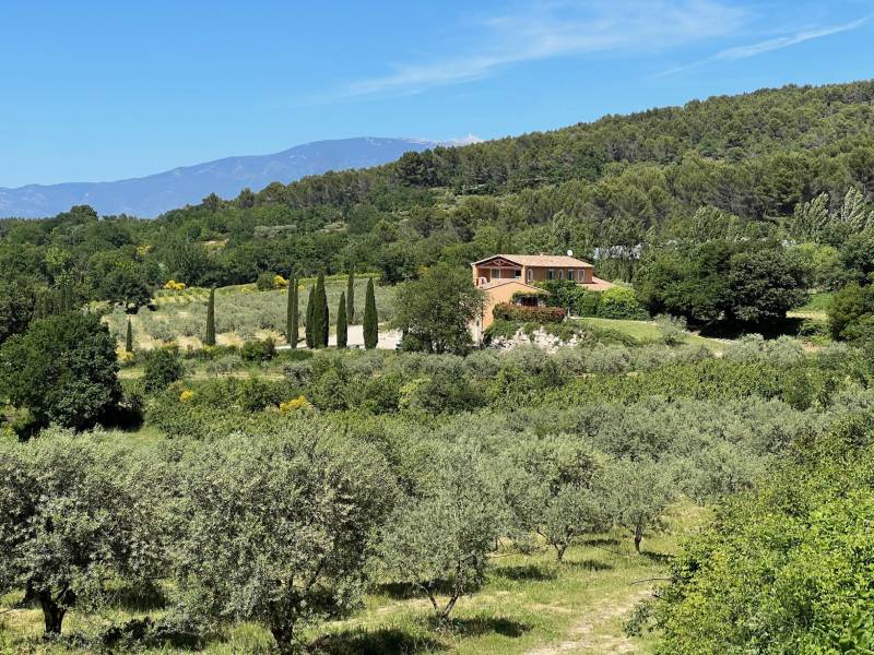 immobiliere du luberon