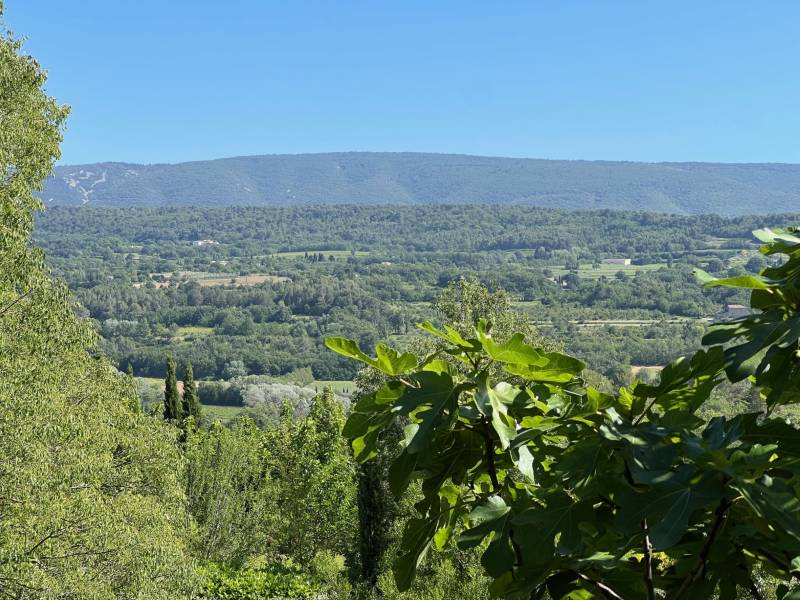 real estate luberon