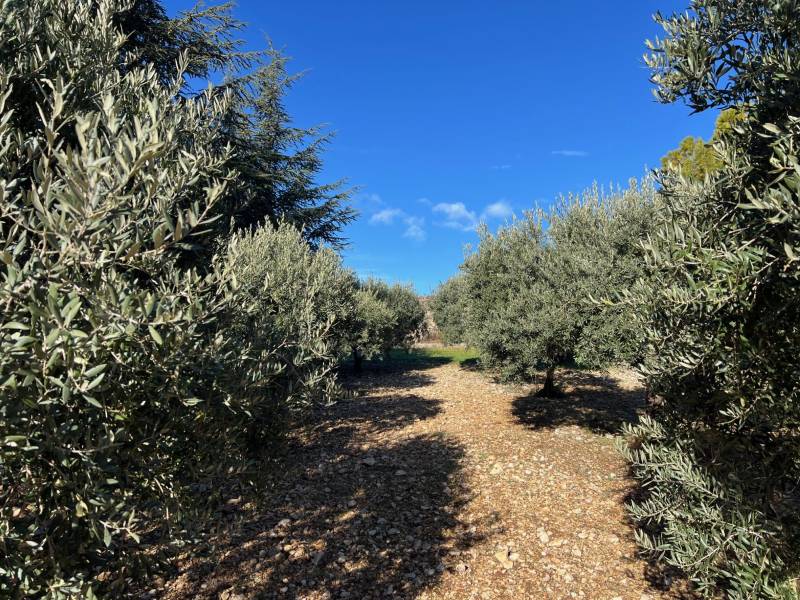 property luberon