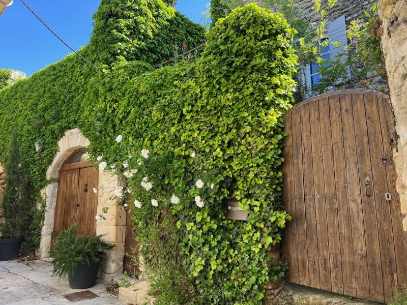 character village house ménerbes