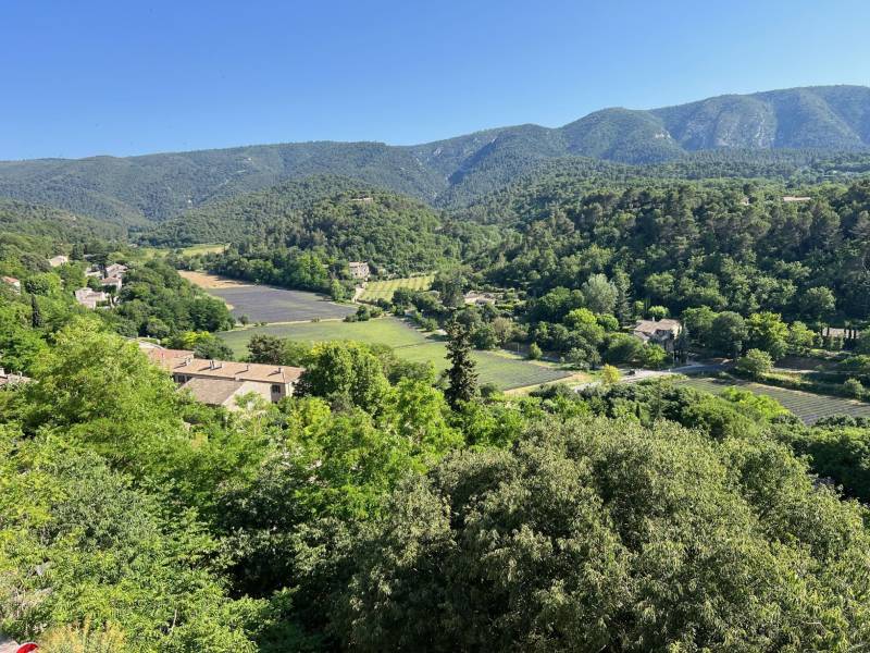 Ménerbes village house with panoramic view