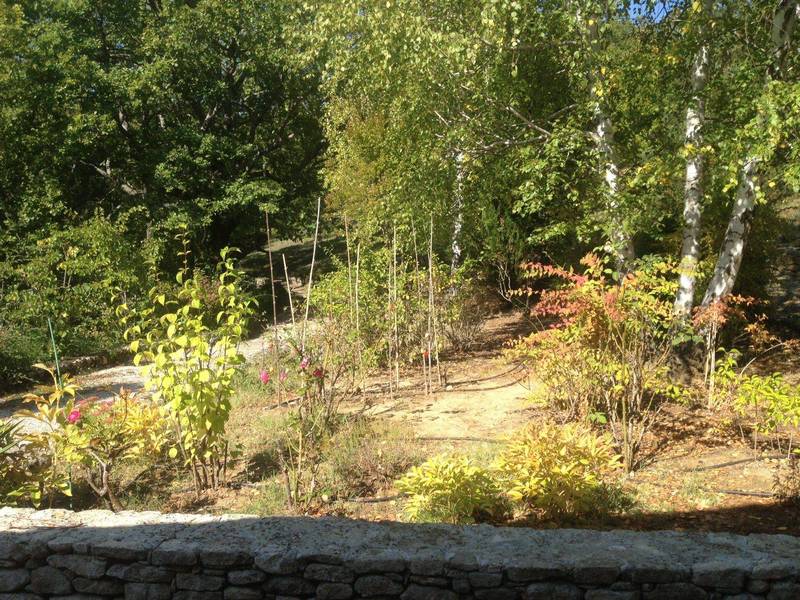 provence real estate